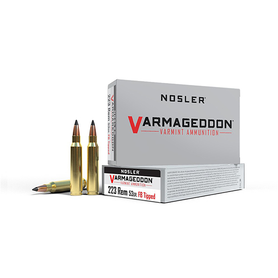 NOS AMMO 223REM 53GR VGN FBT 20/20 - Ammunition